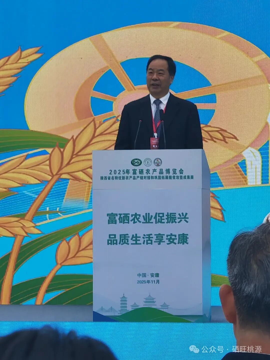 第八屆富硒農(nóng)業(yè)發(fā)展大會在陜西安康舉辦，桃源縣參展成果豐碩
